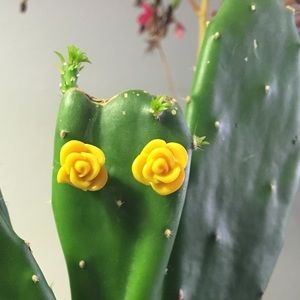Yellow rose studs